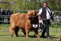 462-80-3-Amina-of-Castle-Mathias-Pooch-Menslage-2