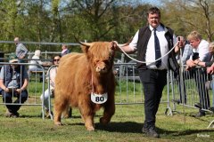 463-80-3-Amina-of-Castle-Mathias-Pooch-Menslage-3