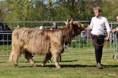 464-81-b-Anni-5.-von-Heise-Matthias-Mueller-Reich-Osterholz-Scharmbeck