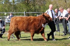 467-82-e-Zsusa-vom-Timpenkroiger-Bernd-Schnier-Rahden-3