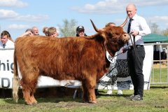 468-82-e-Zsusa-vom-Timpenkroiger-Bernd-Schnier-Rahden-4