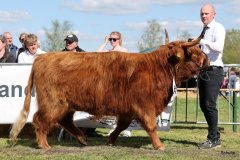 469-82-e-Zsusa-vom-Timpenkroiger-Bernd-Schnier-Rahden-5