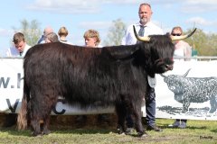 470-83-a-Suri-von-Kuhfelde-Claudia-und-Rene-Schulze-Gardelegen-2