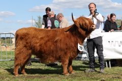 472-79-d-Lou-vom-Langen-Feld-Lukas-Ader-Bad-Hersfeld-3