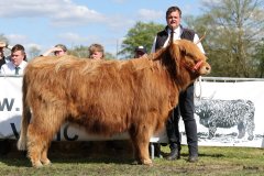 473-80-3-Amina-of-Castle-Mathias-Pooch-Menslage-4