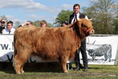 474-46010-d-Varus-vom-Foerdewald-Dirk-Mitzkus-Flensburg-Engelsby6A2872