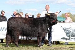 478-83-a-Suri-von-Kuhfelde-Claudia-und-Rene-Schulze-Gardelegen-3