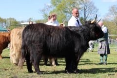 479-83-a-Suri-von-Kuhfelde-Claudia-und-Rene-Schulze-Gardelegen-4