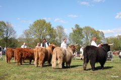 480-Faersen-Klasse-6a