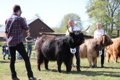 481-83-a-Suri-von-Kuhfelde-Claudia-und-Rene-Schulze-Gardelegen-5