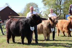 482-83-a-Suri-von-Kuhfelde-Claudia-und-Rene-Schulze-Gardelegen-6