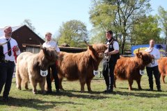 484-Faersen-Klasse-6a-2