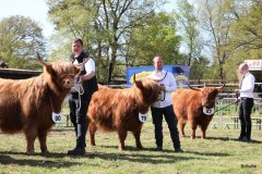 485-Faersen-Klasse-6a-3