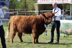 486-82-e-Zsusa-vom-Timpenkroiger-Bernd-Schnier-Rahden