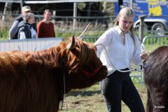 487-83-a-Suri-von-Kuhfelde-Claudia-und-Rene-Schulze-Gardelegen-7