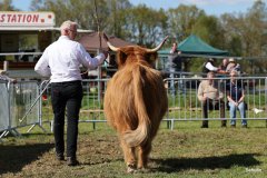 488-75-b-Flore-III-of-Eekkeloh-Ferdinand-Marschalk-Elmlohe-6