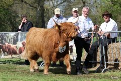 490-75-b-Flore-III-of-Eekkeloh-Ferdinand-Marschalk-Elmlohe-8