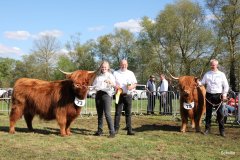 491-73-a-Eilidh-6.-von-Friedeburg-Jens-Brabander-Friedeburg-75-b-Flore-III-of-Eekkeloh-Ferdinand-Marschalk-Elmlohe