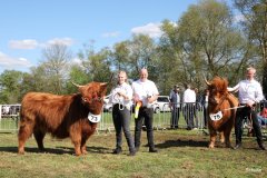 492-73-a-Eilidh-6.-von-Friedeburg-Jens-Brabander-Friedeburg-75-b-Flore-III-of-Eekkeloh-Ferdinand-Marschalk-Elmlohe-2