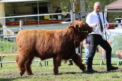 496-4-a-MC-Neill-vom-Buersteler-Feld-Andreas-Czich-Stuhr-18