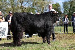 498-29-a-Alexander-vom-Nordlicht-Karl-Heinrich-Winter-Bad-Berleburg-7