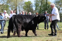 499-29-a-Alexander-vom-Nordlicht-Karl-Heinrich-Winter-Bad-Berleburg-8