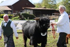 500-29-a-Alexander-vom-Nordlicht-Karl-Heinrich-Winter-Bad-Berleburg-9