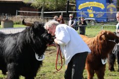 502-29-a-Alexander-vom-Nordlicht-Karl-Heinrich-Winter-Bad-Berleburg-11