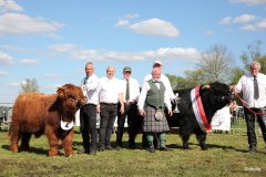 507-Sieger-4-a-MC-Neill-vom-Buersteler-Feld-Andreas-Czich-Stuhr-29-a-Alexander-vom-Nordlicht-Karl-Heinrich-Winter-Bad-Berleburg