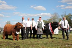 508-Sieger-4-a-MC-Neill-vom-Buersteler-Feld-Andreas-Czich-Stuhr-29-a-Alexander-vom-Nordlicht-Karl-Heinrich-Winter-Bad-Berleburg-2