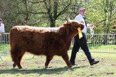 511-49610-d-Varus-vom-Foerdewald-Dirk-Mitzkus-Flensburg-Engelsby6A3023