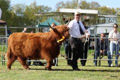 513-66-a-Beauty-Ruadh-2nd-vom-Sunderberg-Familie-Bange-Brilon-Scharfenberg-9