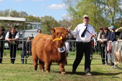 514-66-a-Beauty-Ruadh-2nd-vom-Sunderberg-Familie-Bange-Brilon-Scharfenberg-10