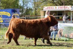 515-73-a-Eilidh-6.-von-Friedeburg-Jens-Brabander-Friedeburg-10