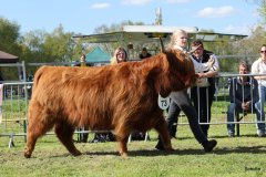 516-73-a-Eilidh-6.-von-Friedeburg-Jens-Brabander-Friedeburg-11