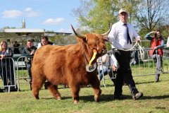 518-66-a-Beauty-Ruadh-2nd-vom-Sunderberg-Familie-Bange-Brilon-Scharfenberg-11
