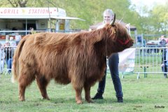 522-73-a-Eilidh-6.-von-Friedeburg-Jens-Brabander-Friedeburg-13