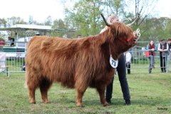 524-73-a-Eilidh-6.-von-Friedeburg-Jens-Brabander-Friedeburg-14