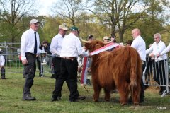 526-66-a-Beauty-Ruadh-2nd-vom-Sunderberg-Familie-Bange-Brilon-Scharfenberg-13