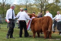 527-66-a-Beauty-Ruadh-2nd-vom-Sunderberg-Familie-Bange-Brilon-Scharfenberg-14