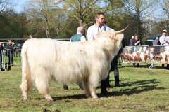 530-56-a-Lady-vom-Habershof-Marian-Habers-Neuenhaus-13