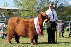 533-66-a-Beauty-Ruadh-2nd-vom-Sunderberg-Familie-Bange-Brilon-Scharfenberg-15