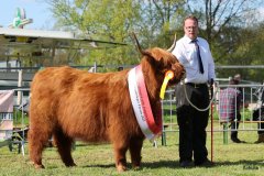 534-66-a-Beauty-Ruadh-2nd-vom-Sunderberg-Familie-Bange-Brilon-Scharfenberg-16