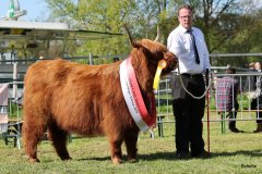 535-66-a-Beauty-Ruadh-2nd-vom-Sunderberg-Familie-Bange-Brilon-Scharfenberg-17