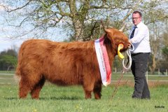 538-66-a-Beauty-Ruadh-2nd-vom-Sunderberg-Familie-Bange-Brilon-Scharfenberg-18