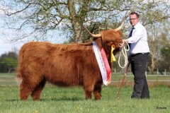 539-66-a-Beauty-Ruadh-2nd-vom-Sunderberg-Familie-Bange-Brilon-Scharfenberg-19