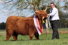 540-66-a-Beauty-Ruadh-2nd-vom-Sunderberg-Familie-Bange-Brilon-Scharfenberg-20