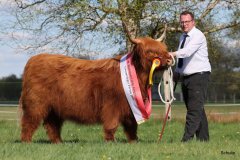 541-66-a-Beauty-Ruadh-2nd-vom-Sunderberg-Familie-Bange-Brilon-Scharfenberg-21