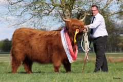 542-66-a-Beauty-Ruadh-2nd-vom-Sunderberg-Familie-Bange-Brilon-Scharfenberg-22