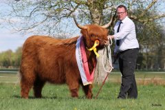 543-66-a-Beauty-Ruadh-2nd-vom-Sunderberg-Familie-Bange-Brilon-Scharfenberg-23